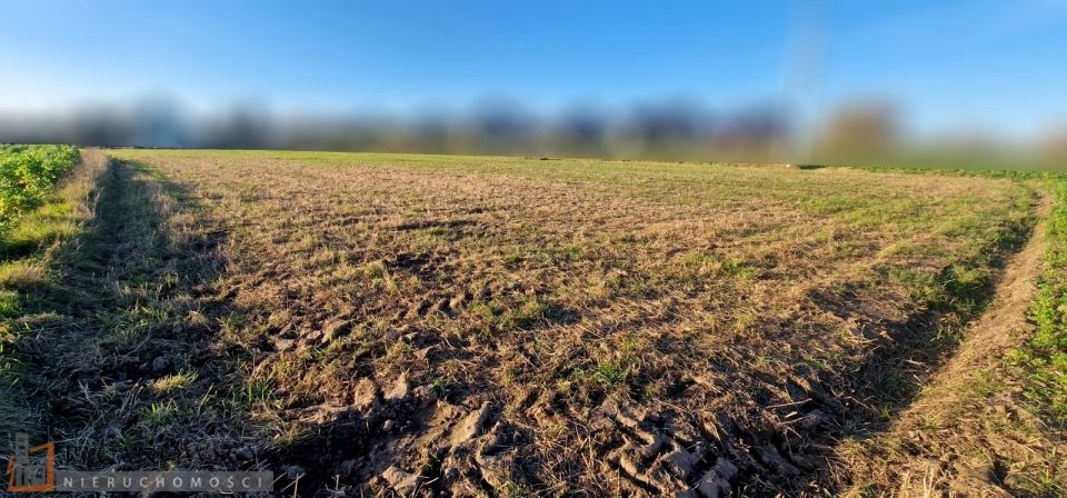Działka usługowa Węgrzce sprzedam