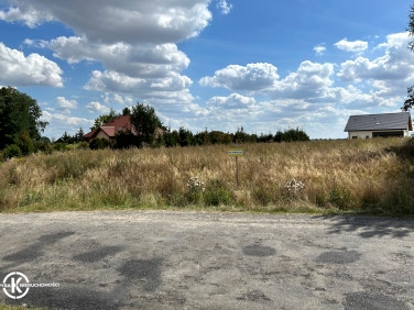 Działka Chojnów