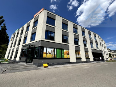 Lokal Warszawa