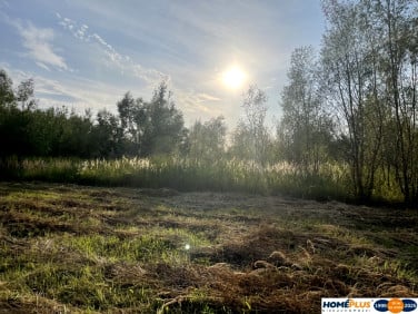 Działka Sieraków