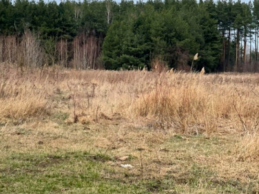Działka Sieraków