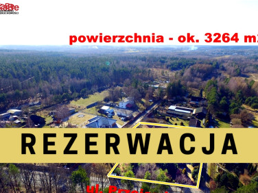Ogrodzona działka Aleksandria