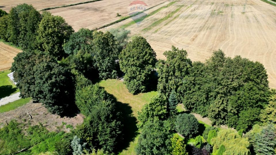 Działka siedliskowa Cedry Małe