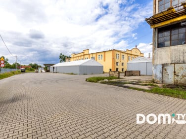 Lokal Dąbrowica