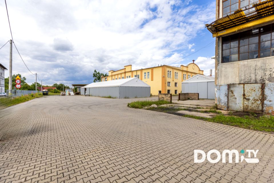 Lokal Dąbrowica