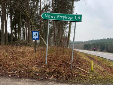 Działka nad jeziorem