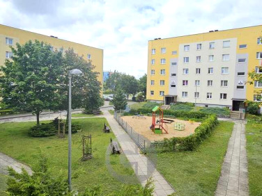 Mieszkanie Gorzów Wielkopolski