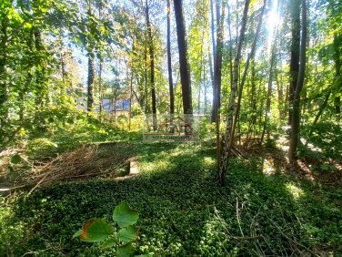 Działka budowlana Zalesie Górne