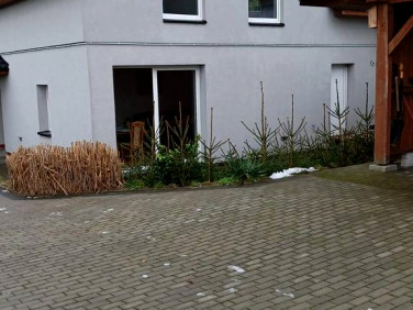 Dom Nowogard