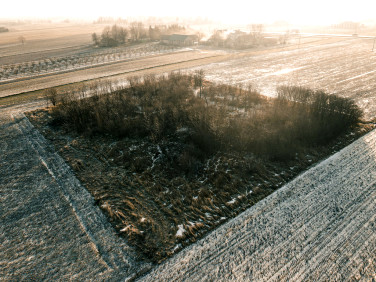 Działka Brzezice