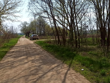 Działka rolna Omięciny