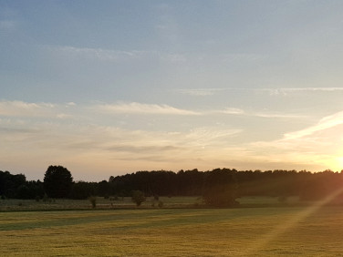 Działka Sarbsk