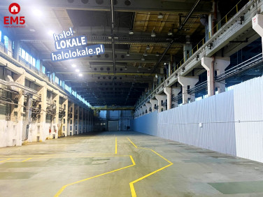 Lokal Białystok