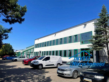 Lokal Koszalin