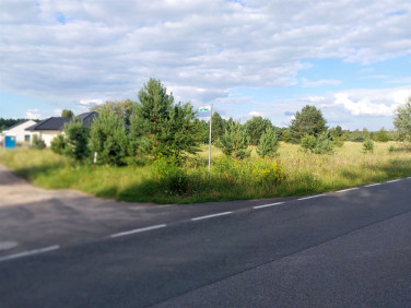 Działka budowlana Żurczyn sprzedam