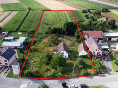 Dom Trzebina