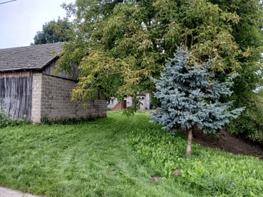 Dom Ostrówek