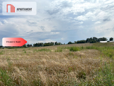 Działka budowlana Gołębiewo Wielkie
