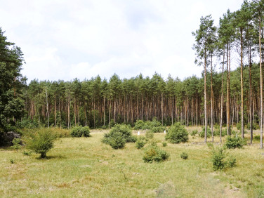 Działka Leśniów Mały