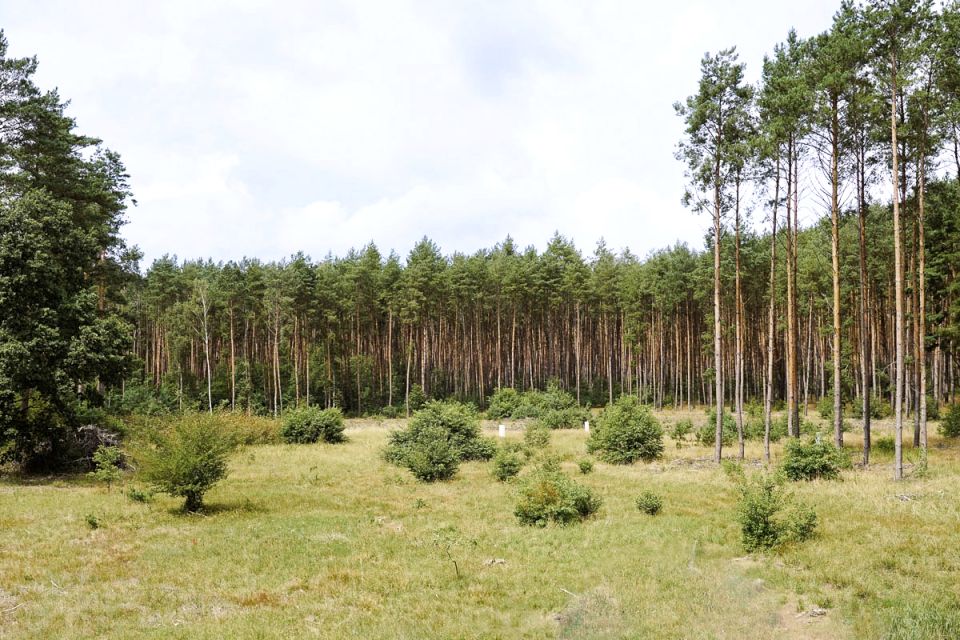 Działka Leśniów Mały