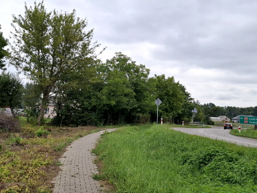 Działka siedliskowa Suchodoły