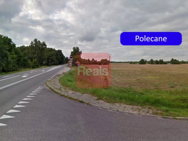 Działka Dąbrówka
