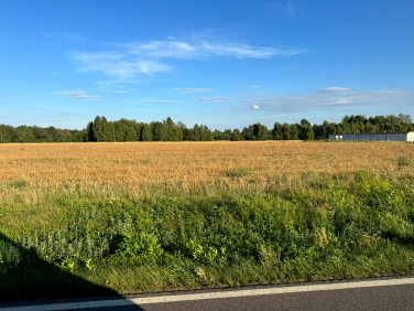 Pusta działka Klembów