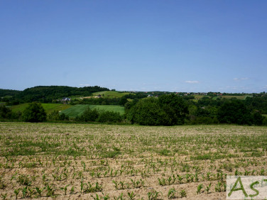 Działka Zelków
