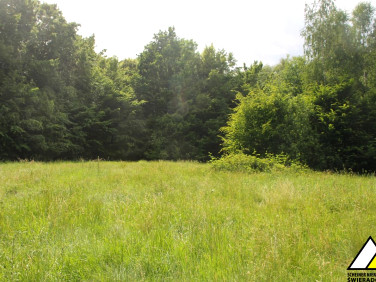 Działka budowlana Orłowice