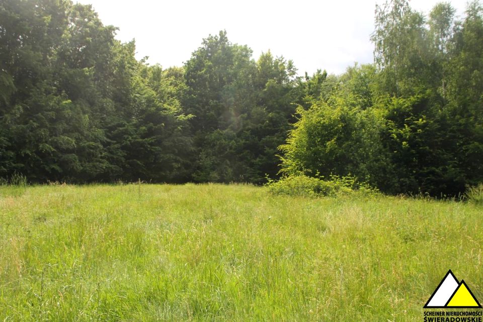 Działka budowlana Orłowice