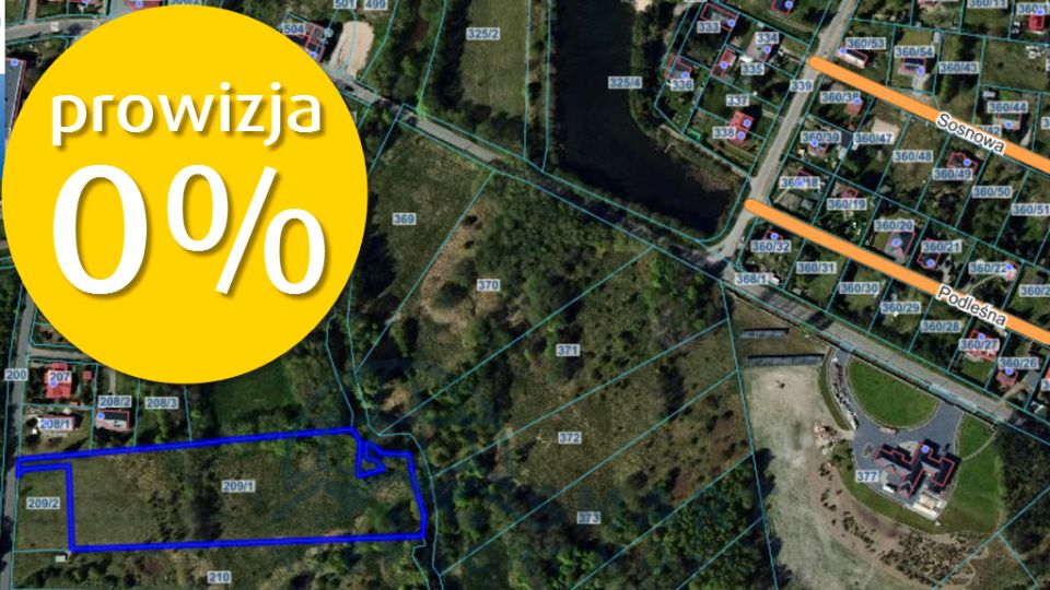 Zdjęcie 3