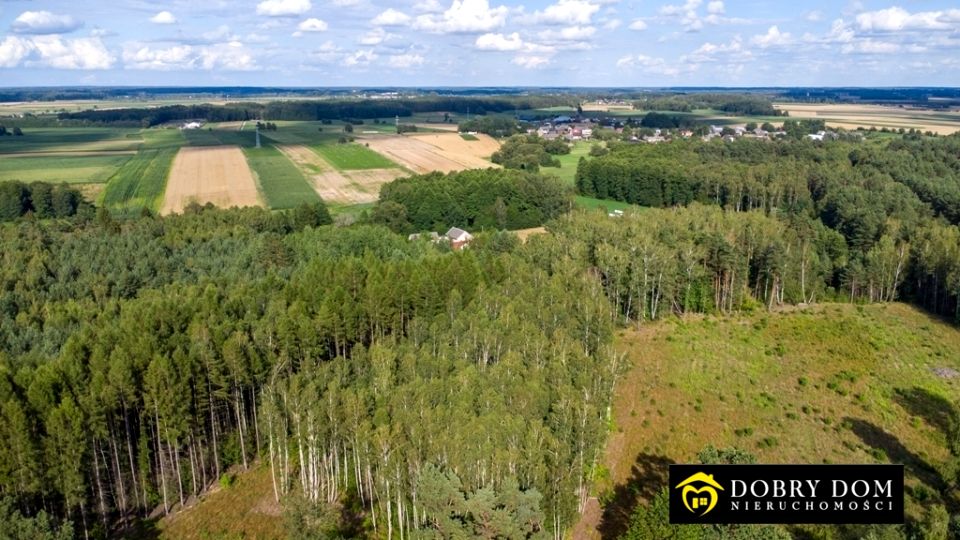 Działka Turośń Kościelna