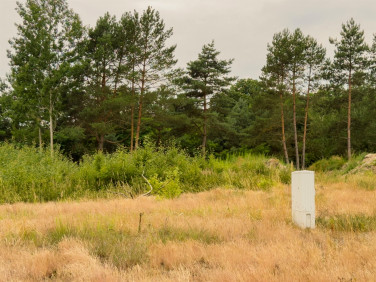 Działka budowlana Sieradz