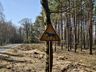 Działka Mogilno