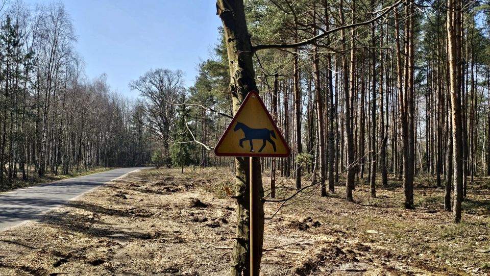 Działka Mogilno