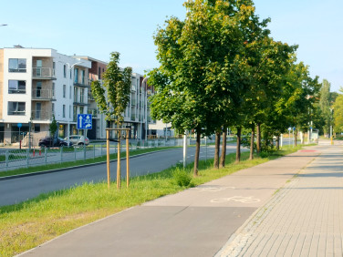 Mieszkanie Kielce