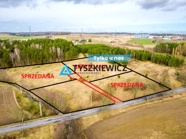 Działka przy lesie