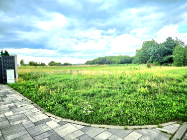 Działka Dębno