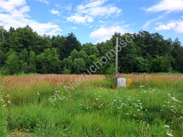 Działka budowlano-rolna Władków sprzedam