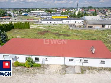 Lokal Mogilno sprzedaż