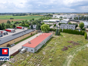 Lokal Mogilno