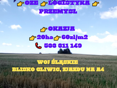 Działka inwestycyjna Rudziniec