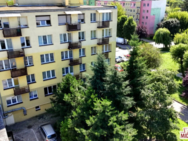 Mieszkanie Ciechocinek