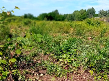 Działka inwestycyjna Piekary Śląskie sprzedam