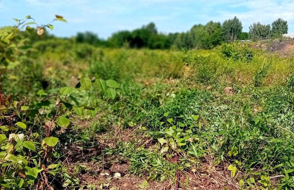 Działka inwestycyjna Piekary Śląskie sprzedam
