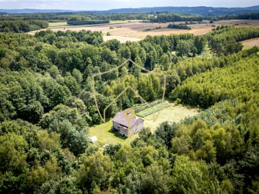 Dom Podlesie