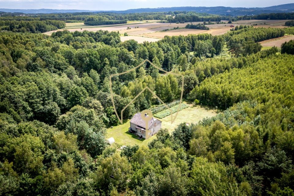Dom Podlesie