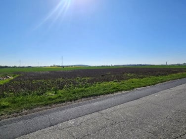 Działka budowlana Pniewy