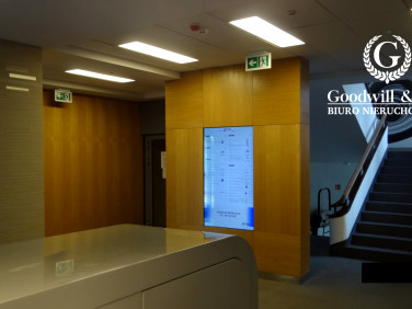 Lokal Gdynia