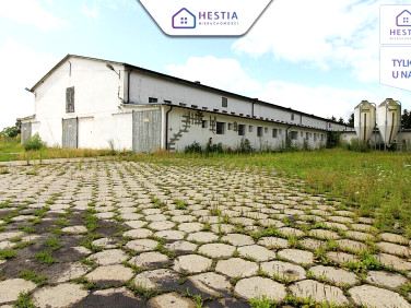 Budynek użytkowy Strzyżno sprzedaż